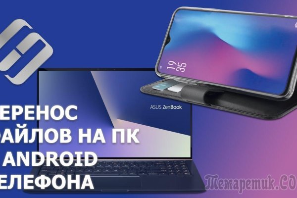 Гидра и кракен