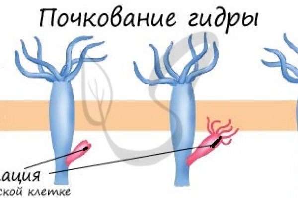 Кракен тгк