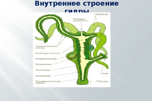 Кракен даркнет что известно