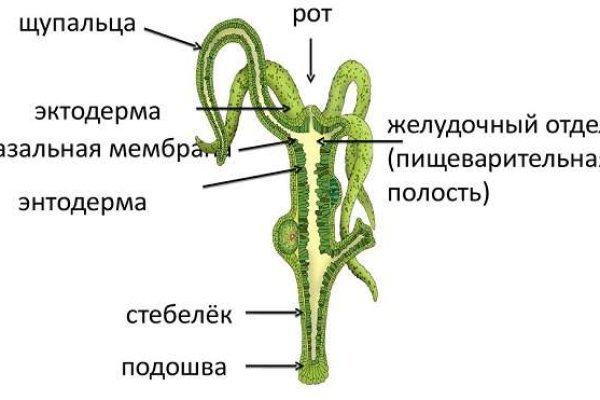 Кракен маркетплейс ассортимент