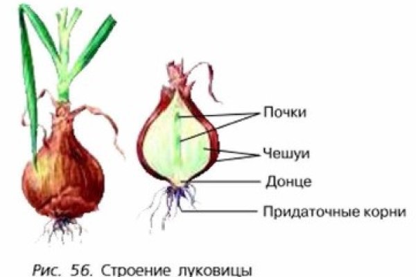 Кракен вход рабочий